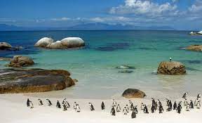 6 Days, 5 Nights Cape Town Christmas Holidays