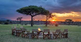Discover Kenya & Tanzania in 10 Unforgettable Nights