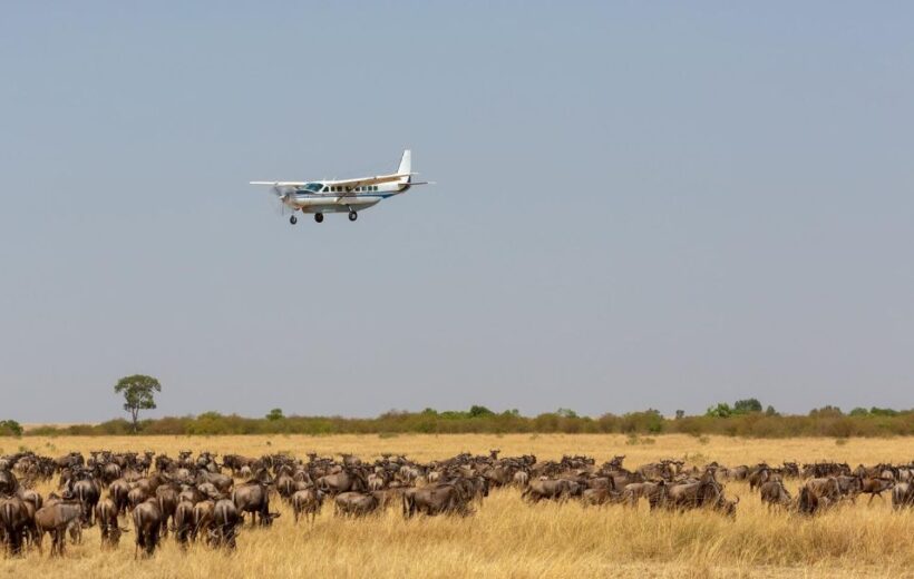 Samburu Premium Flying Package